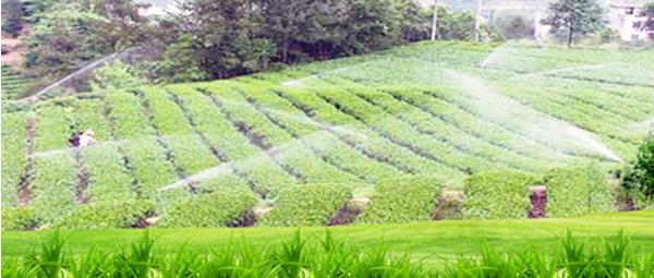 [Industrial Filtration] The effect of large-scale filtration equipment in agricultural irrigation