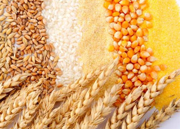 Food: Filtration Important Role in Starch Production