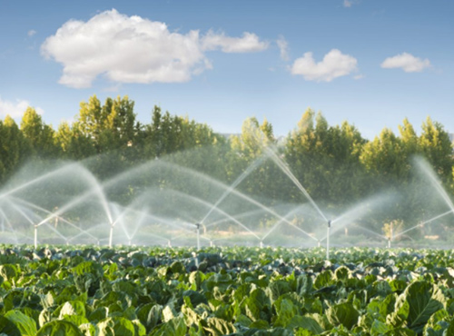 Filtration Solution for Farm Irrigation Water Treatment