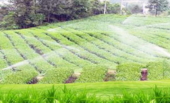 [Industrial Filtration] The effect of large-scale filtration equipment in agricultural irrigation